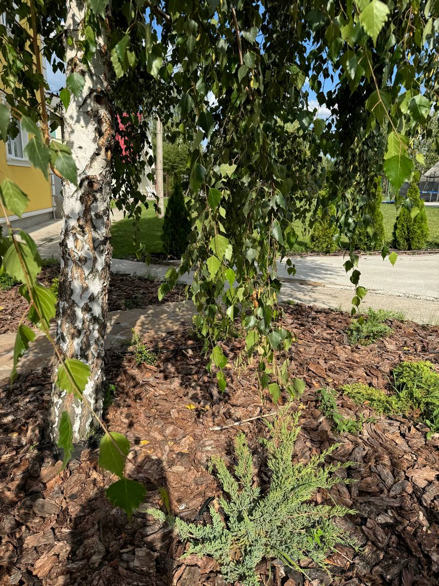 Готель Осокорок - Сауна